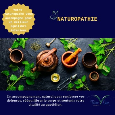 Retrouvez nos tarifs pour un bilan en naturopathie complet